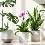 descubra como cuidei dessas plantas difíceis por 30 dias e veja como elas prosperaram com dicas simples e eficazes.