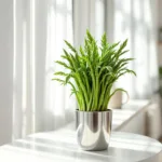 cuidei do aspargo alfinete por 30 dias e transformei minha casa com um novo toque de vida e frescor.